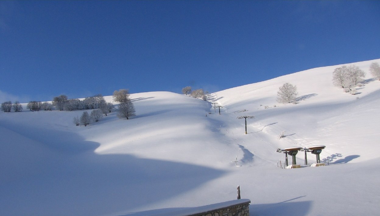 Selvarotonda Monte San Venanzio